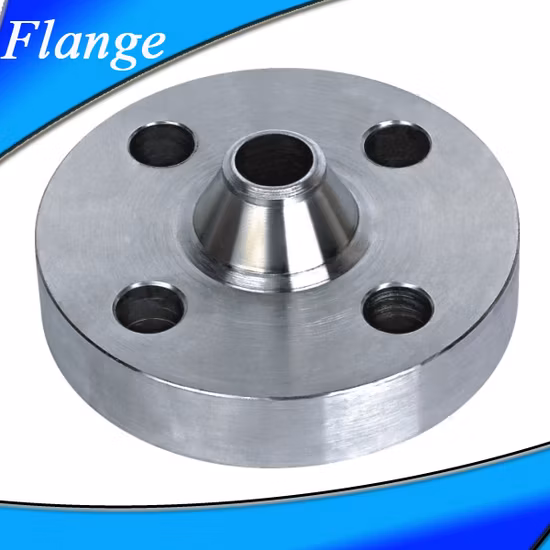 F304L/F316L Mild/Carbon/Stainless/Alloy Steel Forged Flange