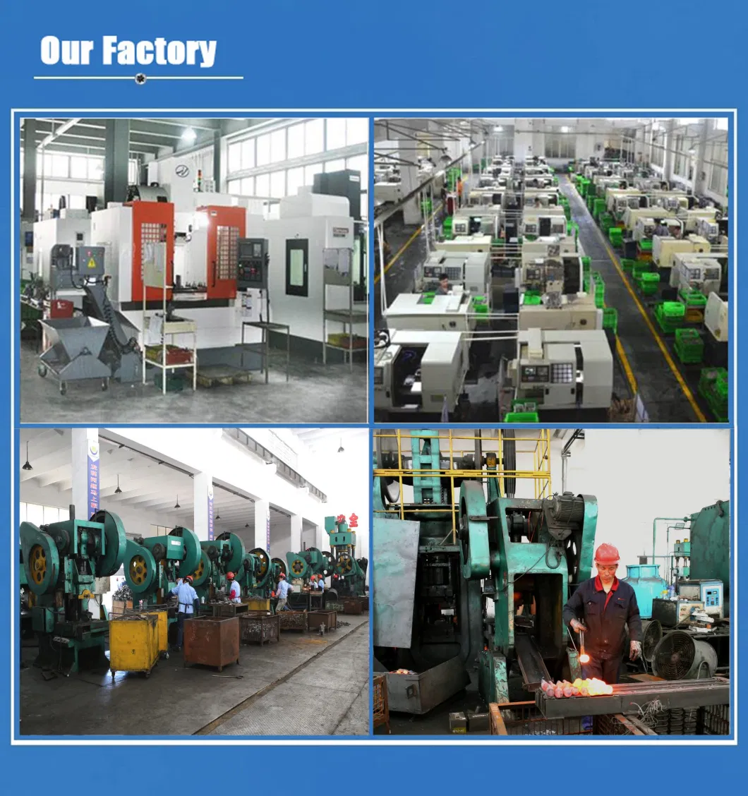 OEM Forging Parts/Hardware for Carbon & Alloy Steel