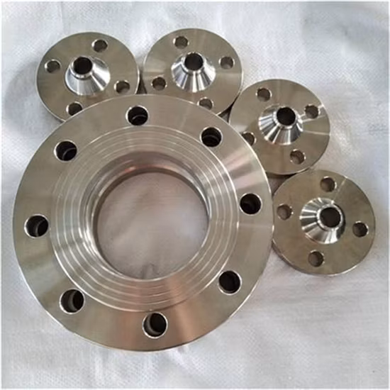 F304L/F316L Mild/Carbon/Stainless/Alloy Steel Forged Flange
