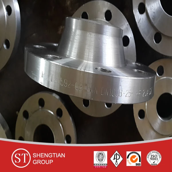 Forged A105 Wn RF 300# Plate/Blind/Socket/Welded Neck Flange