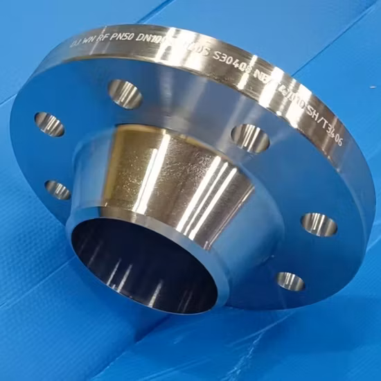 F304L/F316L Mild/Carbon/Stainless/Alloy Steel Forged Flange
